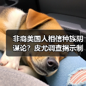 非裔美国人相信种族阴谋论?皮尤调查揭示制度阻碍真相 非裔美国人相信种族阴谋论?皮尤调查揭示制度阻碍真相