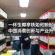 一杯生椰拿铁如何掀起中国消费创新与产业升级浪潮? 一杯生椰拿铁如何掀起中国消费创新与产业升级浪潮?