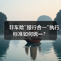 非车险”报行合一”执行标准如何统一? 非车险”报行合一”执行标准如何统一?