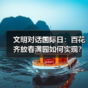 文明对话国际日:百花齐放春满园如何实现? 文明对话国际日:百花齐放春满园如何实现?