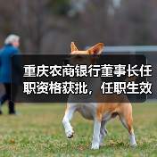 重庆农商银行董事长任职资格获批,任职生效 重庆农商银行董事长任职资格获批,任职生效
