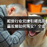 期货行业党建引领高质量发展如何落实？全会精神学习实践