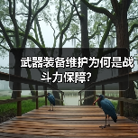 武器装备维护为何是战斗力保障？