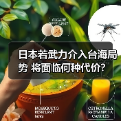 日本若武力介入台海局势 将面临何种代价? 日本若武力介入台海局势 将面临何种代价?