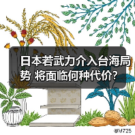 日本若武力介入台海局势 将面临何种代价? 日本若武力介入台海局势 将面临何种代价?