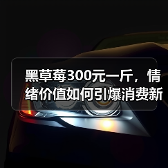 黑草莓300元一斤,情绪价值如何引爆消费新趋势? 黑草莓300元一斤,情绪价值如何引爆消费新趋势?