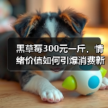 黑草莓300元一斤,情绪价值如何引爆消费新趋势? 黑草莓300元一斤,情绪价值如何引爆消费新趋势?