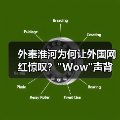 外秦淮河为何让外国网红惊叹?”Wow”声背后的南京文化密码 外秦淮河为何让外国网红惊叹?”Wow”声背后的南京文化密码