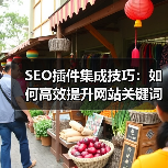 SEO插件集成技巧:如何高效提升网站关键词排名 SEO插件集成技巧:如何高效提升网站关键词排名