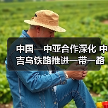 中国—中亚合作深化 中吉乌铁路推进一带一路成果 中国—中亚合作深化 中吉乌铁路推进一带一路成果