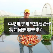 中马电子电气贸易合作将如何影响未来? 中马电子电气贸易合作将如何影响未来?