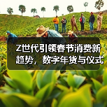 Z世代引领春节消费新趋势,数字年货与仪式感经济并行 Z世代引领春节消费新趋势,数字年货与仪式感经济并行