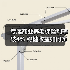 专属商业养老保险利率破4% 稳健收益如何实现? 专属商业养老保险利率破4% 稳健收益如何实现?