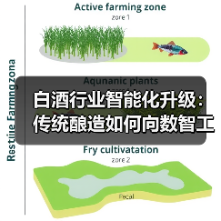 白酒行业智能化升级:传统酿造如何向数智工厂转型? 白酒行业智能化升级:传统酿造如何向数智工厂转型?
