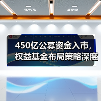 450亿公募资金入市,权益基金布局策略深度解析 450亿公募资金入市,权益基金布局策略深度解析