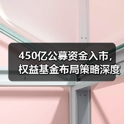 450亿公募资金入市,权益基金布局策略深度解析 450亿公募资金入市,权益基金布局策略深度解析