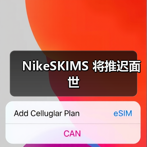 NikeSKIMS 将推迟面世 NikeSKIMS 将推迟面世
