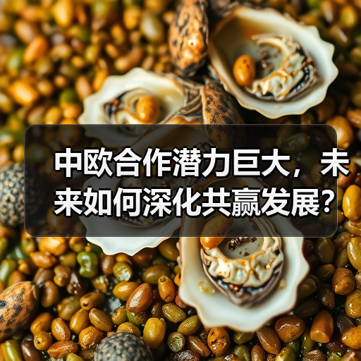 中欧合作潜力巨大,未来如何深化共赢发展? 中欧合作潜力巨大,未来如何深化共赢发展?