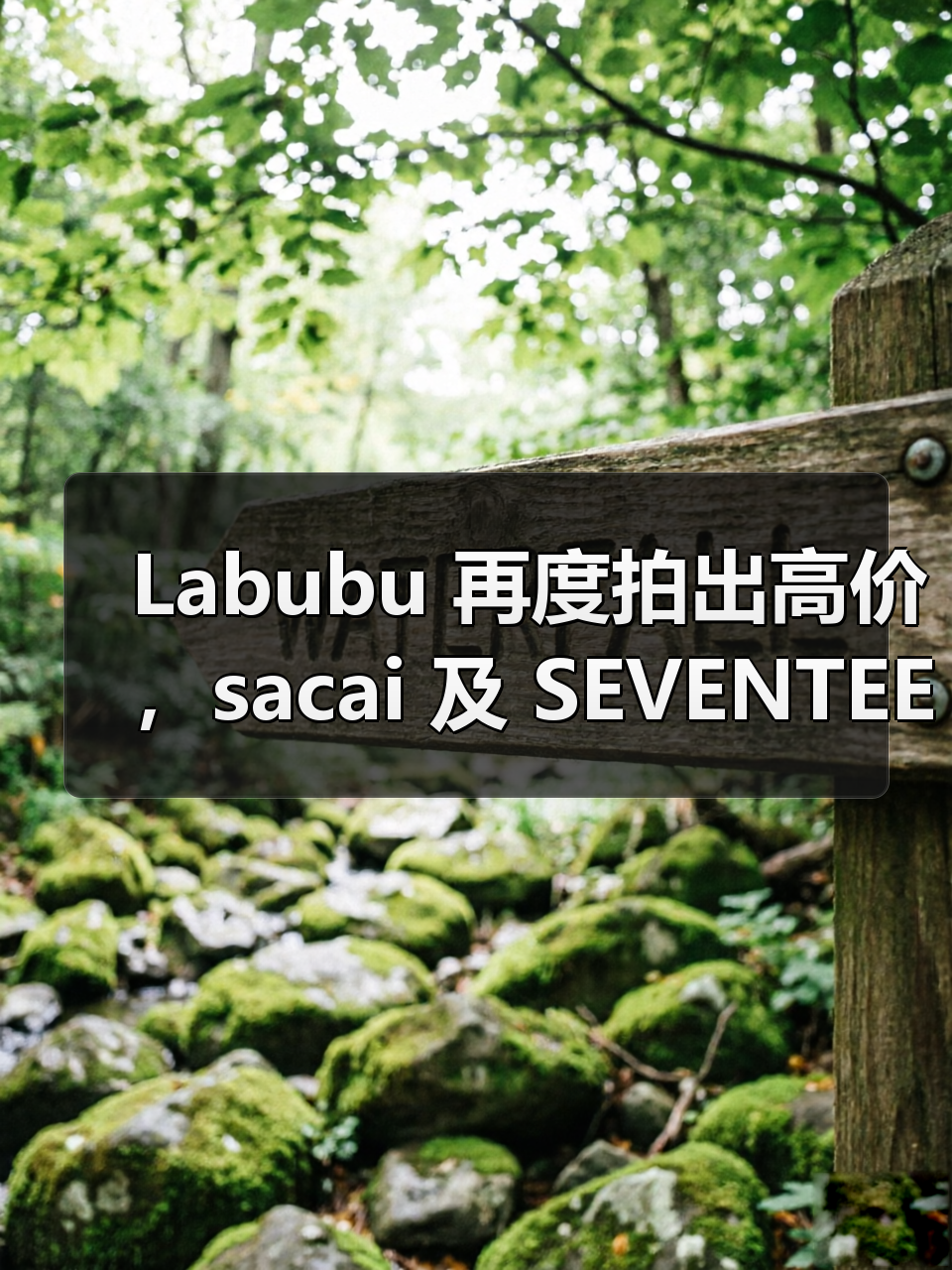 Labubu 再度拍出高价,sacai 及 SEVENTEEN 双重加持 Labubu 再度拍出高价,sacai 及 SEVENTEEN 双重加持