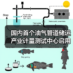 国内首个油气管道储运产业计量测试中心启用,将如何提升能源输送安全? 国内首个油气管道储运产业计量测试中心启用,将如何提升能源输送安全?