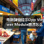 电脑弹窗提示Dpp Viewer Module崩溃怎么解决？