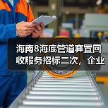 海南8海底管道弃置回收服务招标二次,企业竞标条件解析 海南8海底管道弃置回收服务招标二次,企业竞标条件解析