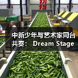中新少年与艺术家同台共奏: Dream Stage 2025 慈善音乐会闪耀狮城 中新少年与艺术家同台共奏: Dream Stage 2025 慈善音乐会闪耀狮城
