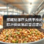挪威能源巨头携手推进欧洲低碳氢能管道建设 挪威能源巨头携手推进欧洲低碳氢能管道建设