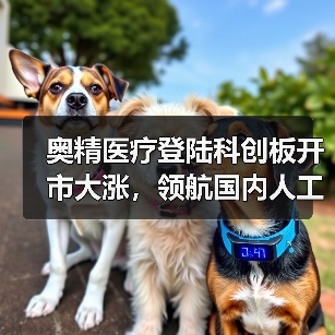 奥精医疗登陆科创板开市大涨,领航国内人工骨修复材料技术 奥精医疗登陆科创板开市大涨,领航国内人工骨修复材料技术