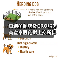 高端仿制药及CRO服务商宣泰医药拟上交所科创板上市 高端仿制药及CRO服务商宣泰医药拟上交所科创板上市