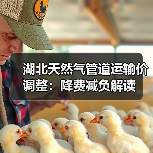 湖北天然气管道运输价调整:降费减负解读 湖北天然气管道运输价调整:降费减负解读