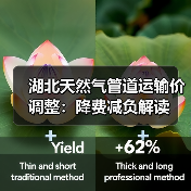 湖北天然气管道运输价调整:降费减负解读 湖北天然气管道运输价调整:降费减负解读