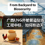 广西LNG外输管道复线工程中标,如何推动天然气互联互通? 广西LNG外输管道复线工程中标,如何推动天然气互联互通?