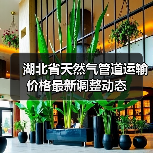 湖北省天然气管道运输价格最新调整动态 湖北省天然气管道运输价格最新调整动态