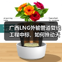 广西LNG外输管道复线工程中标,如何推动天然气互联互通? 广西LNG外输管道复线工程中标,如何推动天然气互联互通?