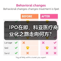 IPO在即,科亚医疗商业化之路走向何方? IPO在即,科亚医疗商业化之路走向何方?