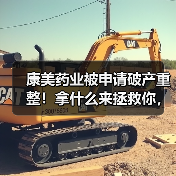 康美药业被申请破产重整!拿什么来拯救你,“康美之恋”? 康美药业被申请破产重整!拿什么来拯救你,“康美之恋”?