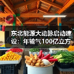 东北能源大动脉启动建设:年输气100亿立方米 东北能源大动脉启动建设:年输气100亿立方米