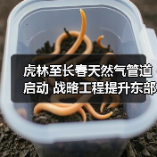 虎林至长春天然气管道启动 战略工程提升东部能源保供 虎林至长春天然气管道启动 战略工程提升东部能源保供