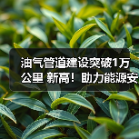 油气管道建设突破1万公里 新高!助力能源安全与全国网络完善 油气管道建设突破1万公里 新高!助力能源安全与全国网络完善