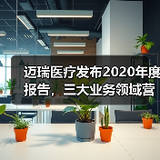 迈瑞医疗发布2020年度报告,三大业务领域营收创新高 迈瑞医疗发布2020年度报告,三大业务领域营收创新高