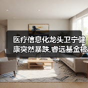 医疗信息化龙头卫宁健康突然暴跌,睿远基金被“坑”了? 医疗信息化龙头卫宁健康突然暴跌,睿远基金被“坑”了?