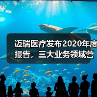 迈瑞医疗发布2020年度报告,三大业务领域营收创新高 迈瑞医疗发布2020年度报告,三大业务领域营收创新高