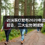 迈瑞医疗发布2020年度报告,三大业务领域营收创新高 迈瑞医疗发布2020年度报告,三大业务领域营收创新高