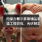 内蒙古鄂尔多斯输氢管道工程获批,光伏制氢配套项目启动 内蒙古鄂尔多斯输氢管道工程获批,光伏制氢配套项目启动