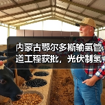内蒙古鄂尔多斯输氢管道工程获批,光伏制氢配套项目启动 内蒙古鄂尔多斯输氢管道工程获批,光伏制氢配套项目启动