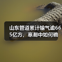 山东管道累计输气逾665亿方,寒潮中如何确保供气安全? 山东管道累计输气逾665亿方,寒潮中如何确保供气安全?