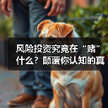 风险投资究竟在“赌”什么?颠覆你认知的真相是:它从不面向“成功”,而是面向“失败” 风险投资究竟在“赌”什么?颠覆你认知的真相是:它从不面向“成功”,而是面向“失败”