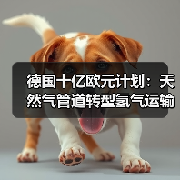 德国十亿欧元计划:天然气管道转型氢气运输? 德国十亿欧元计划:天然气管道转型氢气运输?