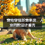 宠物穿搭新宠来袭,人宠同款设计首秀 宠物穿搭新宠来袭,人宠同款设计首秀